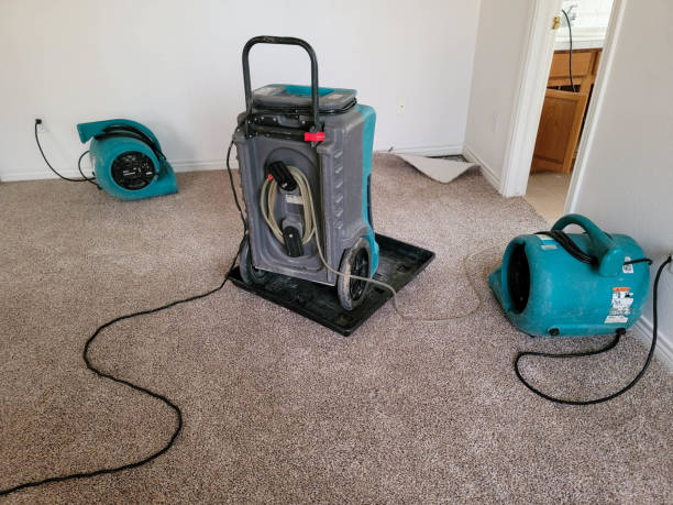 Best Ceiling water damage repair  in Alamosa, CO