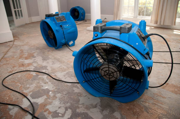 Best Water damage mitigation services  in Alamosa, CO