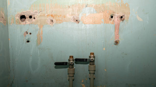 Best Water damage contractors near me  in Alamosa, CO