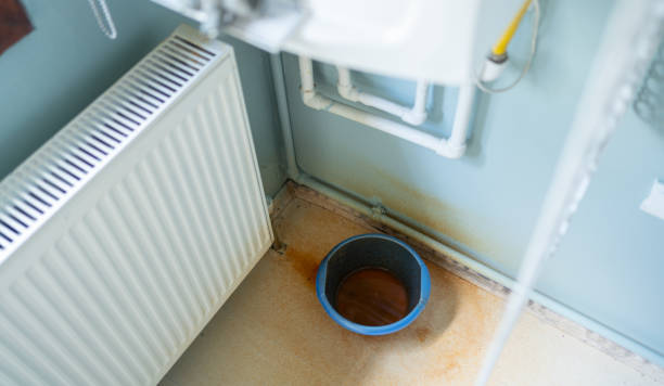 Best Sewage cleanup and water damage restoration  in Alamosa, CO