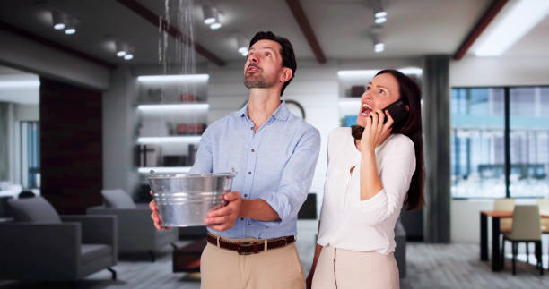 Best Flood restoration services  in Alamosa, CO